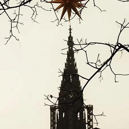 Les Corbelles, Duplex Hyper Centre Lejlighed Strasbourg