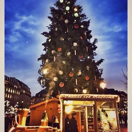 Les Corbelles, Duplex Hyper Centre Appartamento