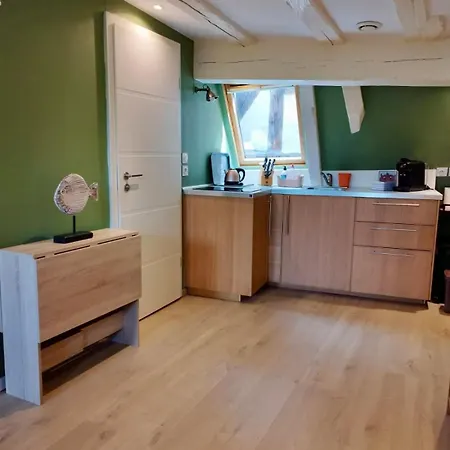 Les Corbelles, Duplex Hyper Centre Appartamento Strasburgo