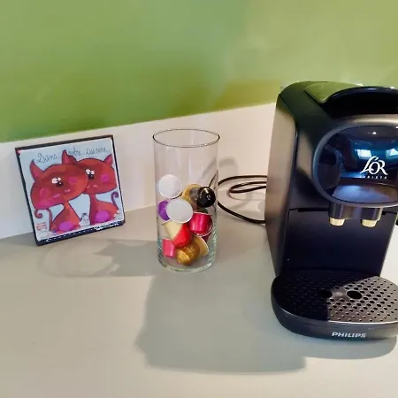 Les Corbelles, Duplex Hyper Centre *