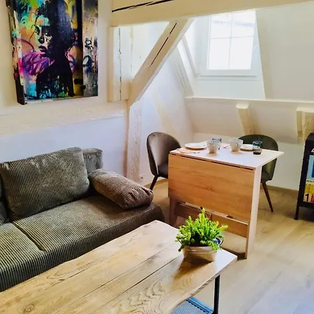 Les Corbelles, Duplex Hyper Centre Appartamento *